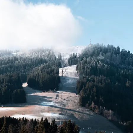 Apartmán Arbois Elegance - Aux Pieds *